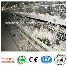 Mejor precio de alta calidad Sistema de jaula de pollo de engorde